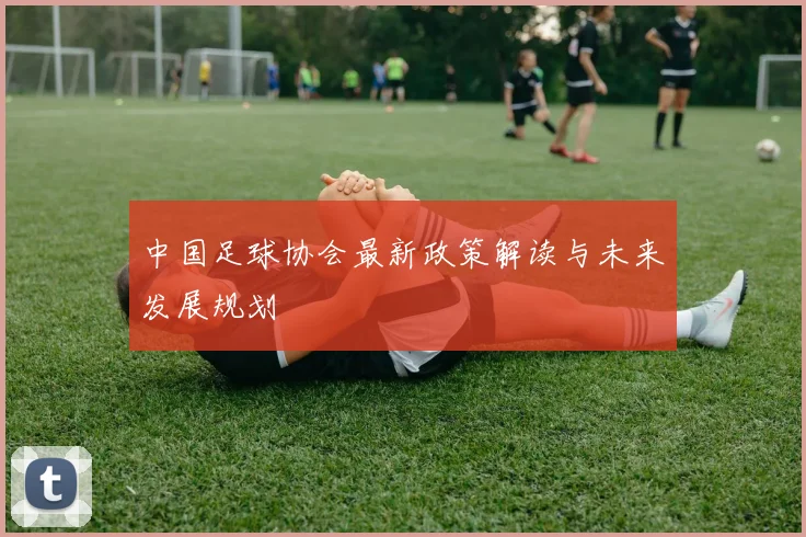 中国足球协会最新政策解读与未来发展规划